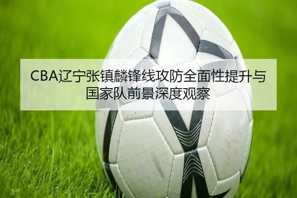CBA辽宁张镇麟锋线攻防全面性提升与国家队前景深度观察